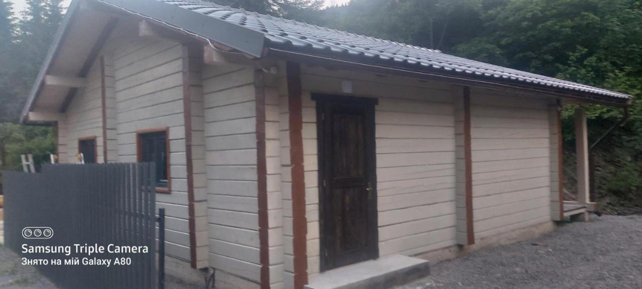 Hotel Berloga-Sinevir Synevyrs'ka Polyana Bagian luar foto