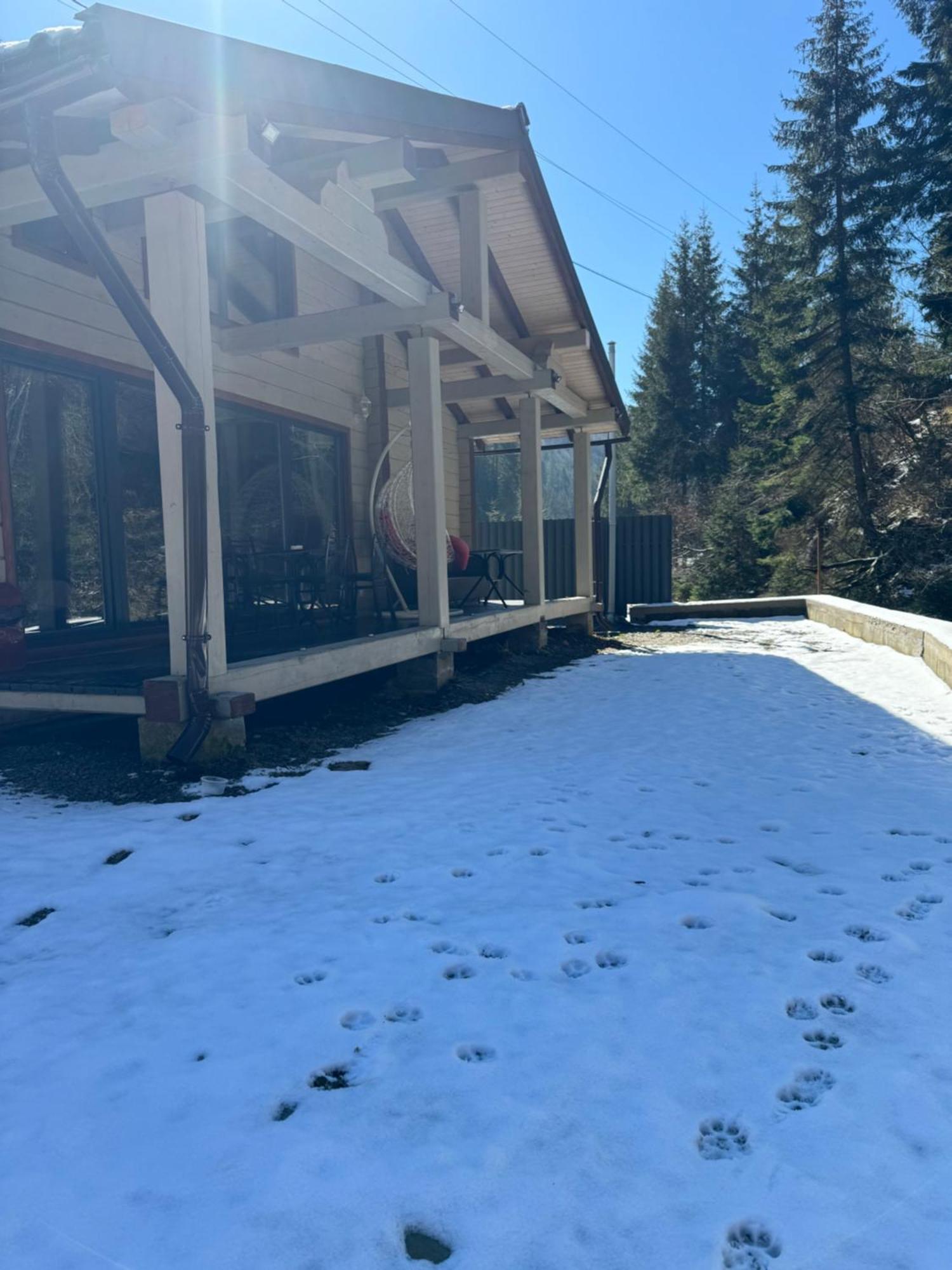 Hotel Berloga-Sinevir Synevyrs'ka Polyana Bagian luar foto